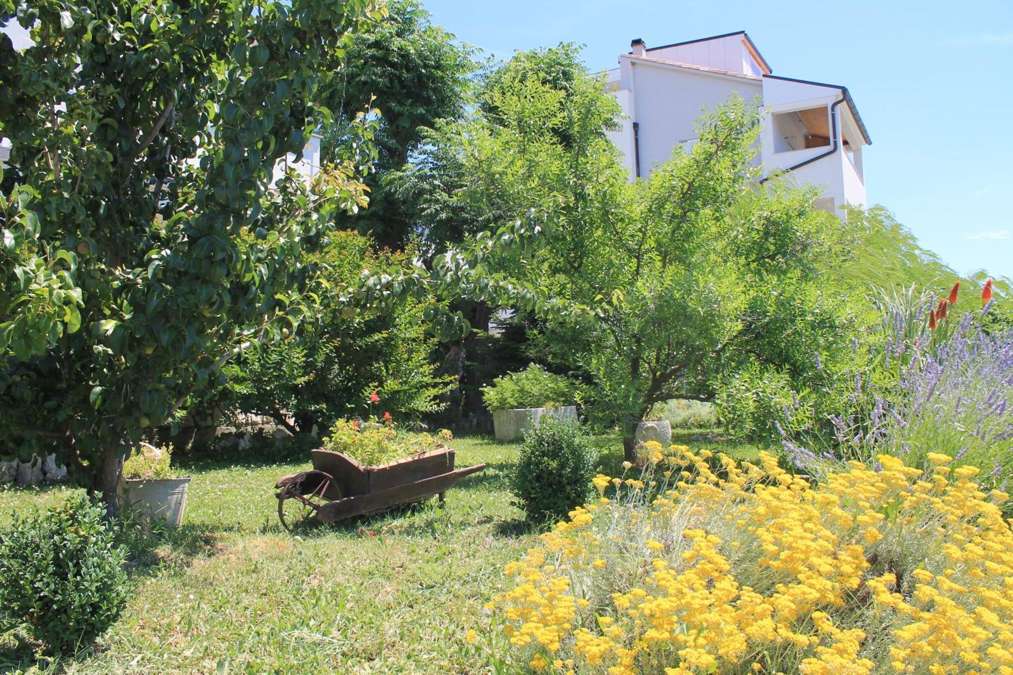 Apartments 501 - Rab Island Oasis Retreat Supetarska Draga Exteriér fotografie