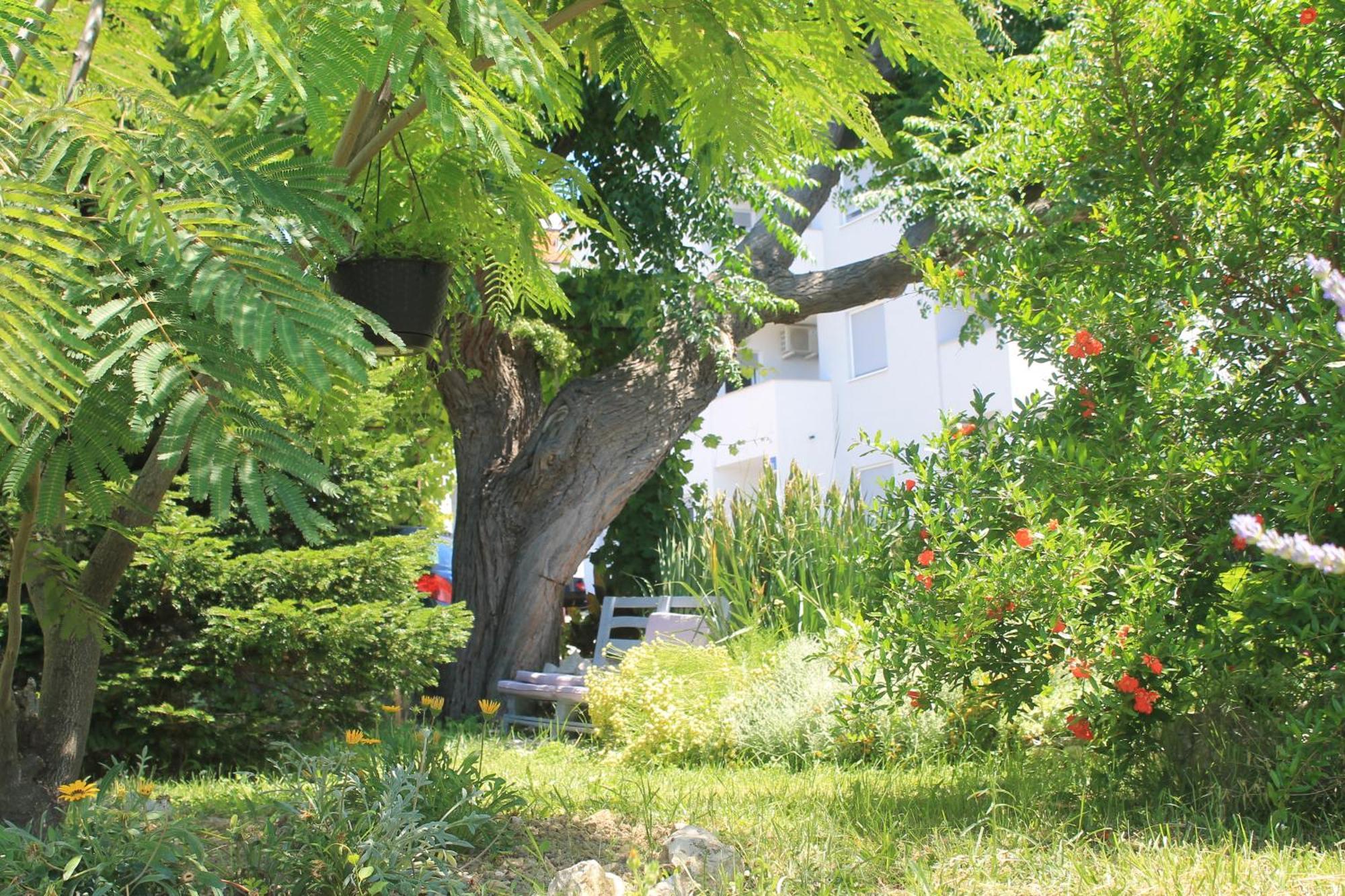 Apartments 501 - Rab Island Oasis Retreat Supetarska Draga Exteriér fotografie