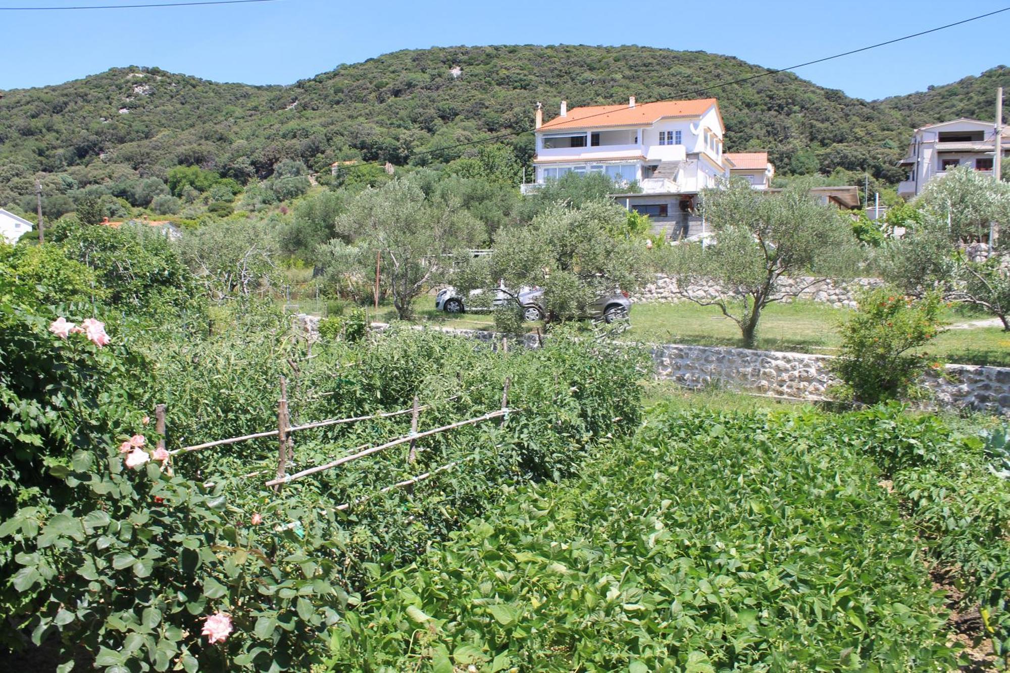 Apartments 501 - Rab Island Oasis Retreat Supetarska Draga Exteriér fotografie